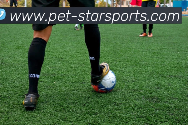 星空实时比分平台生态图